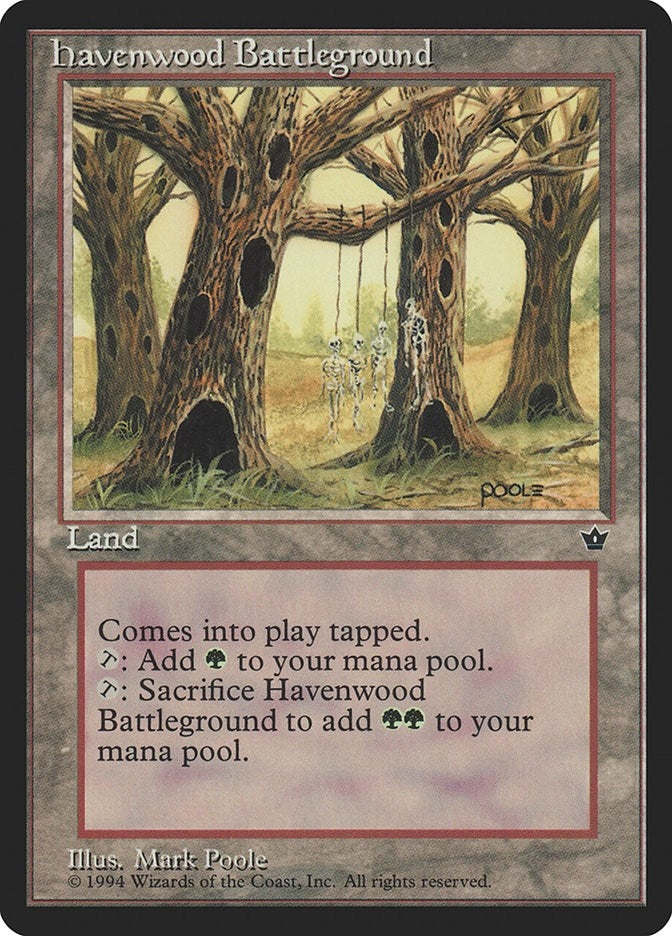 Image for Havenwood Battleground - Magic: The Gathering