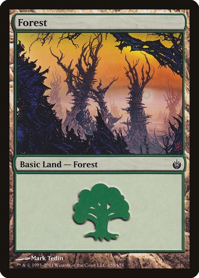 Image for Forest (155) (155) - Magic: The Gathering