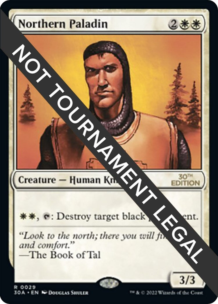 Image for Northern Paladin (29) - Magic: The Gathering
