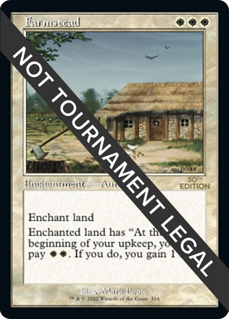 Image for Farmstead (Retro Frame) (316) - Magic: The Gathering