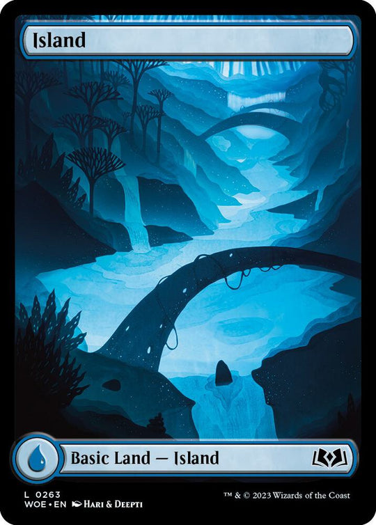 Image for Island (0263) (263) - Magic: The Gathering
