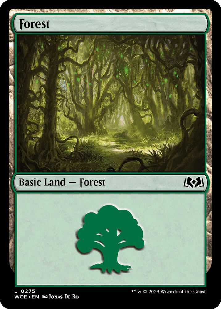 Image for Forest (0275) (275) - Magic: The Gathering