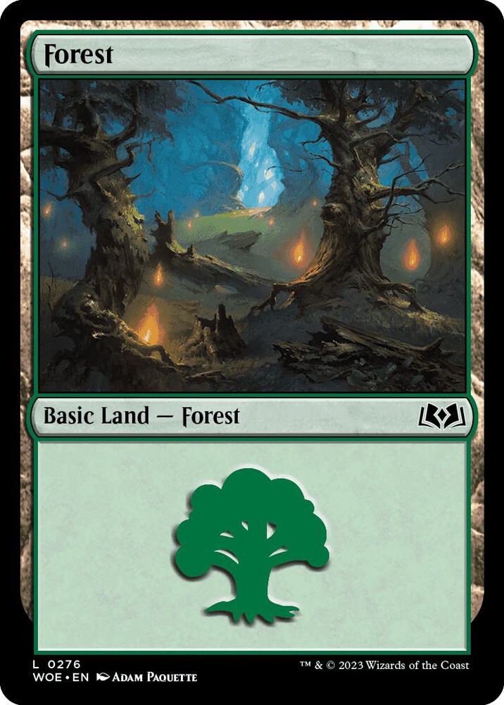Image for Forest (0276) (276) - Magic: The Gathering