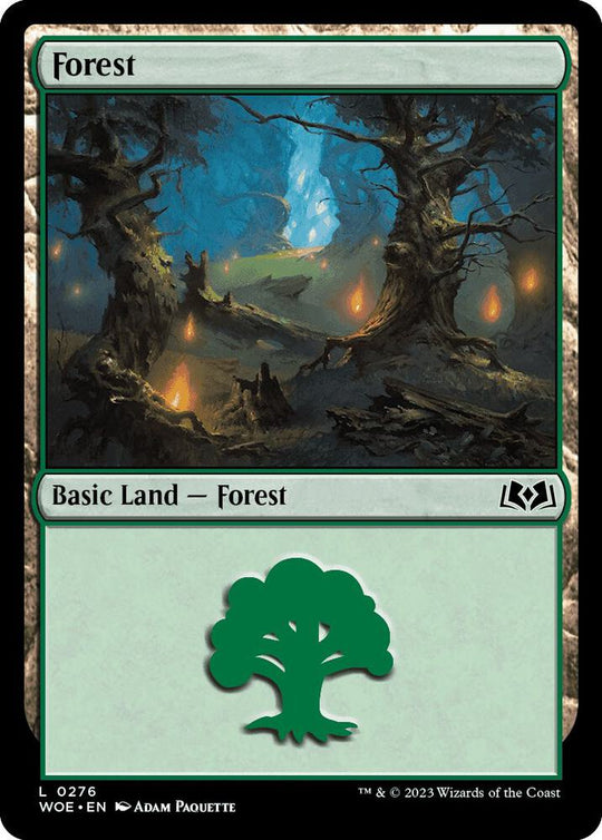 Image for Forest (0276) (276) - Magic: The Gathering