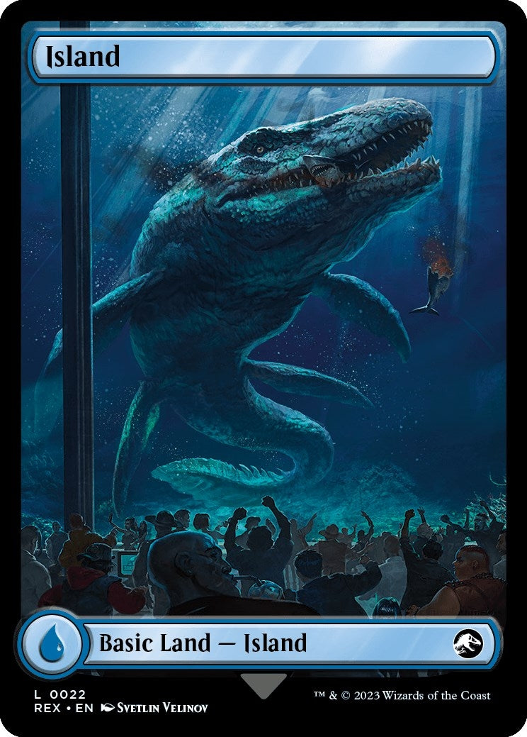 Image for Island (22) - Magic: The Gathering