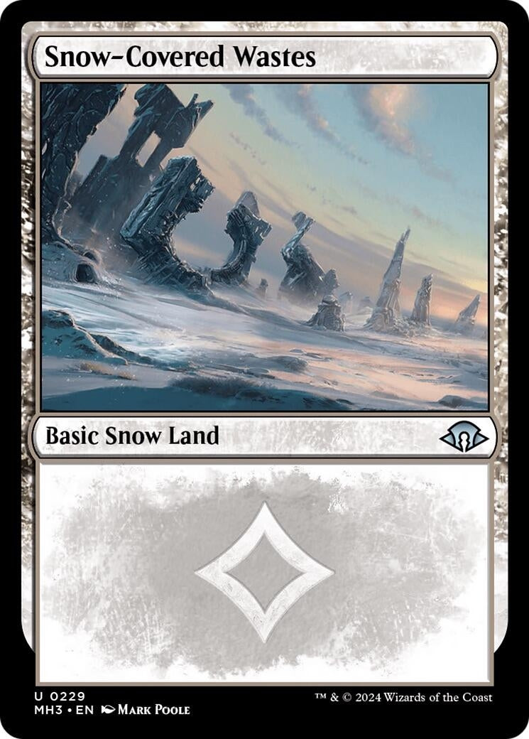 Image for Snow-Covered Wastes (0229) (229) - Magic: The Gathering