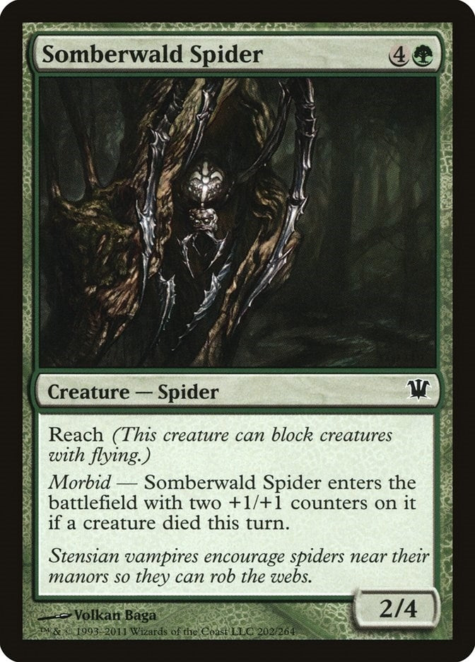 Image for Somberwald Spider (202) - Magic: The Gathering