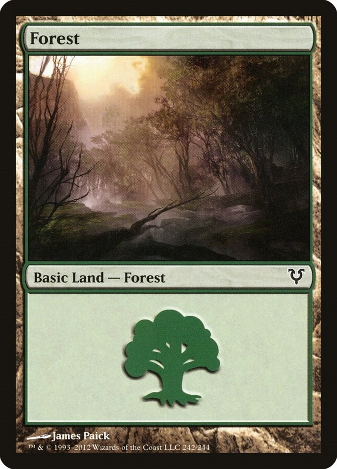 Image for Forest (242) (242) - Magic: The Gathering
