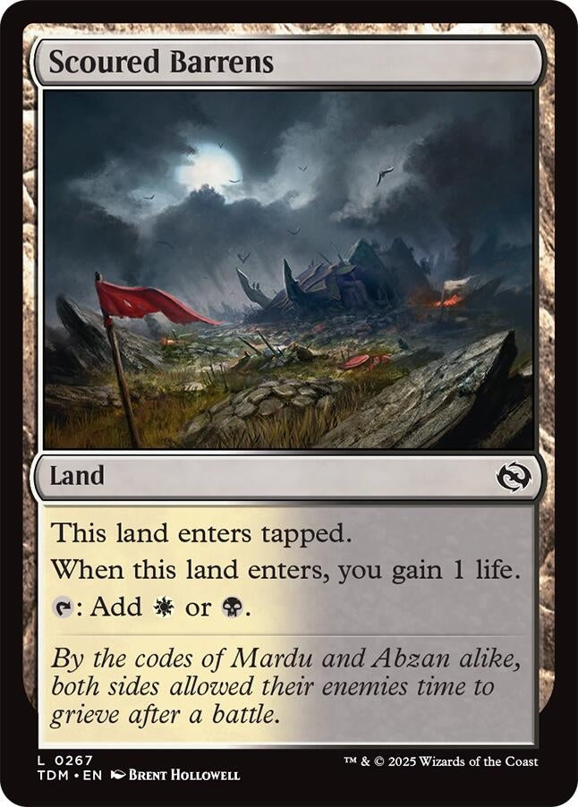 Image for Scoured Barrens (267) - Magic: The Gathering