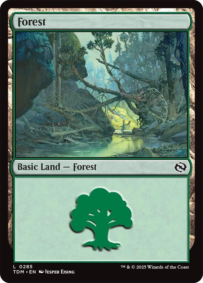 Image for Forest (0285) (285) - Magic: The Gathering