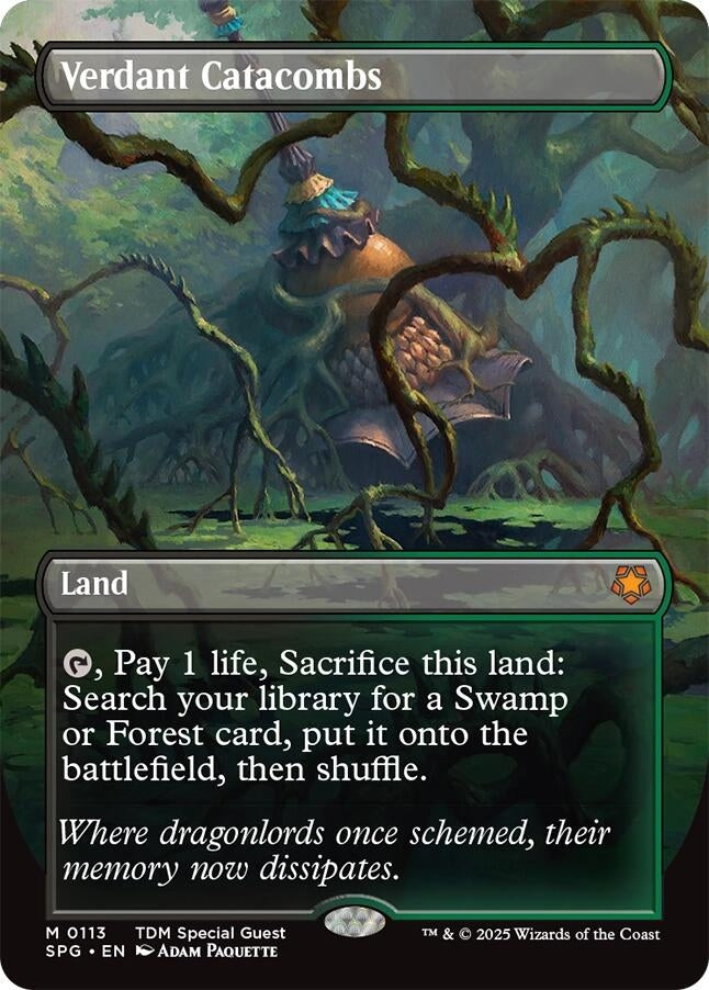 Image for Verdant Catacombs (Borderless) (113) - Magic: The Gathering