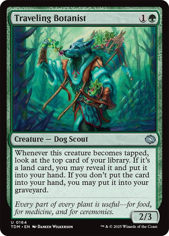Image for Traveling Botanist (164) - Magic: The Gathering