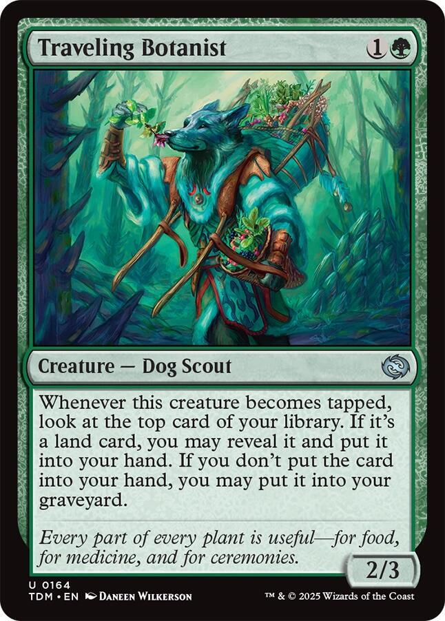 Image for Traveling Botanist (164) - Magic: The Gathering