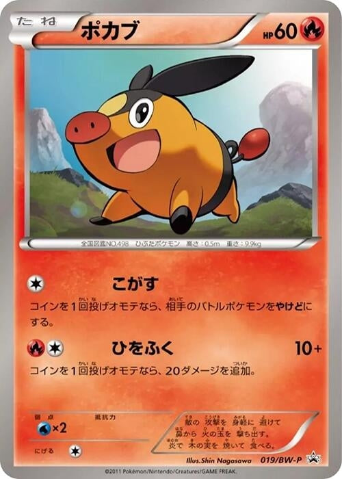 Image for Tepig - 019/BW-P - Pokemon Japan