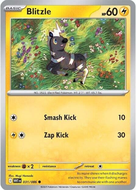 Image for Blitzle (031/086) (WHT) - Pokemon