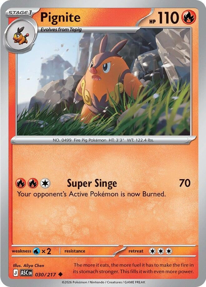Image for Pignite (030/217) (ASC) - Pokemon