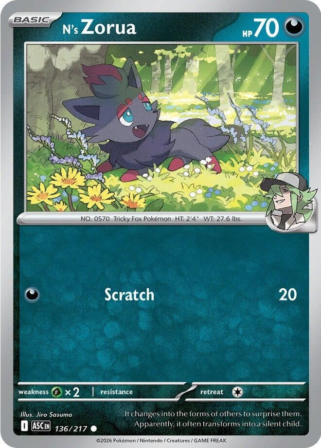 Image for N's Zorua (136/217) (ASC) - Pokemon