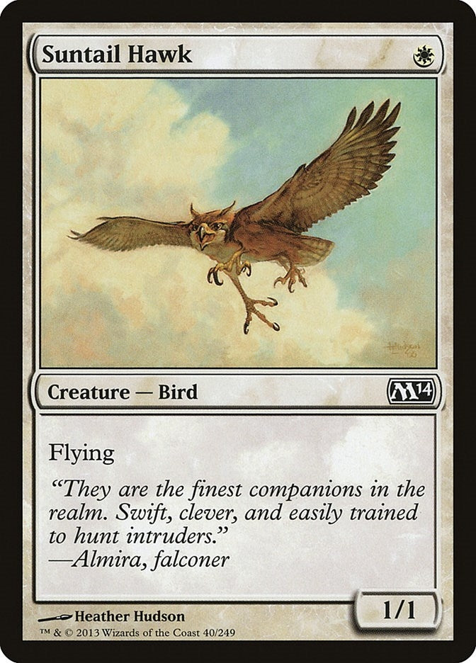 Image for Suntail Hawk (40) - Magic: The Gathering