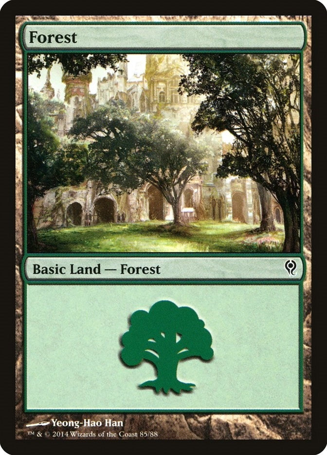 Image for Forest (85) (85) - Magic: The Gathering