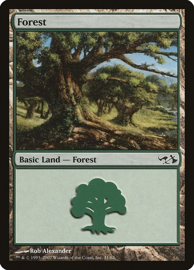 Image for Forest (31) (31) - Magic: The Gathering