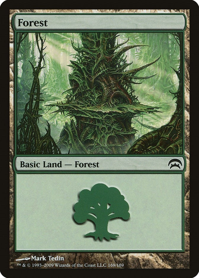 Image for Forest (169) (169) - Magic: The Gathering