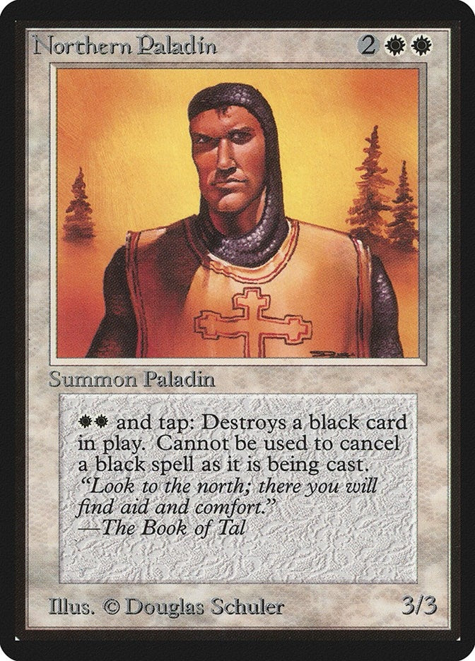 Image for Northern Paladin - Magic: The Gathering
