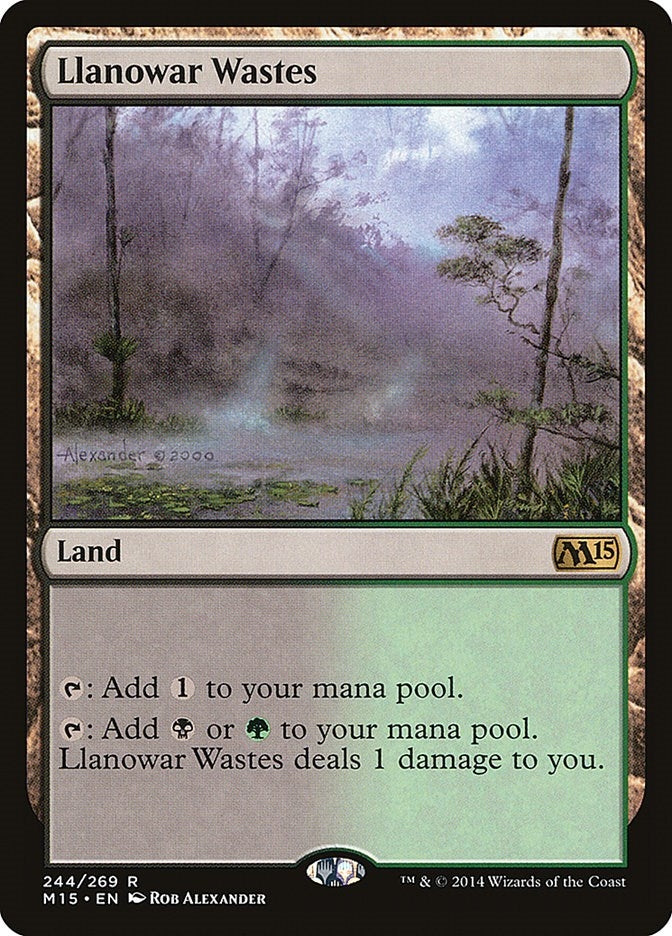 Image for Llanowar Wastes (244) - Magic: The Gathering
