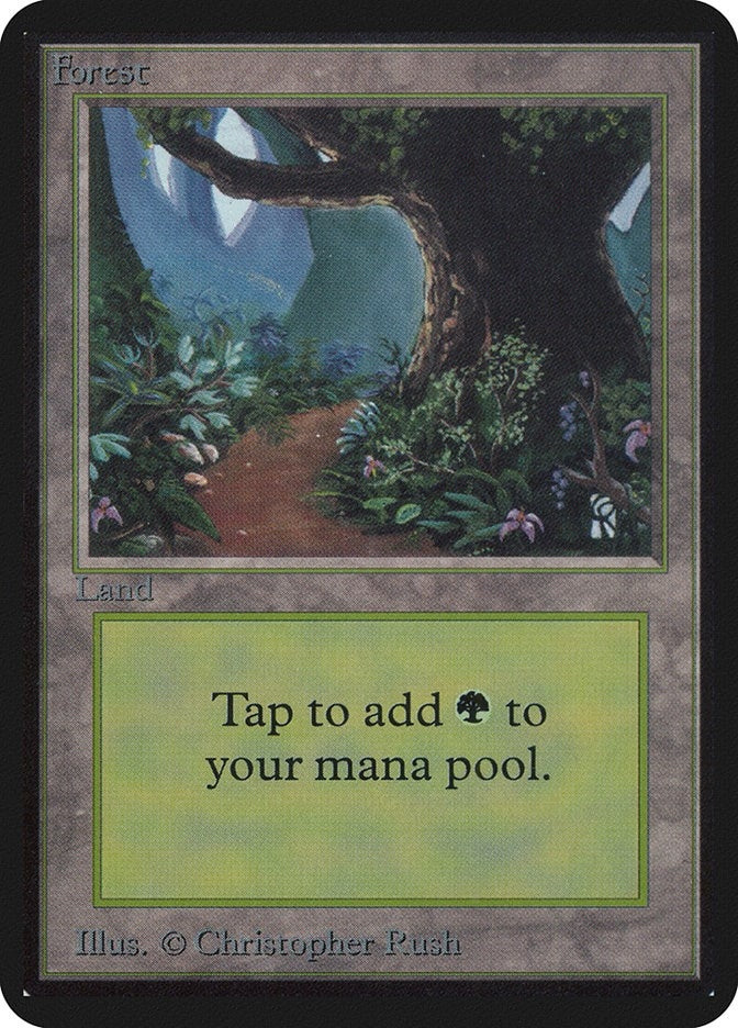 Image for Forest (B) - Magic: The Gathering