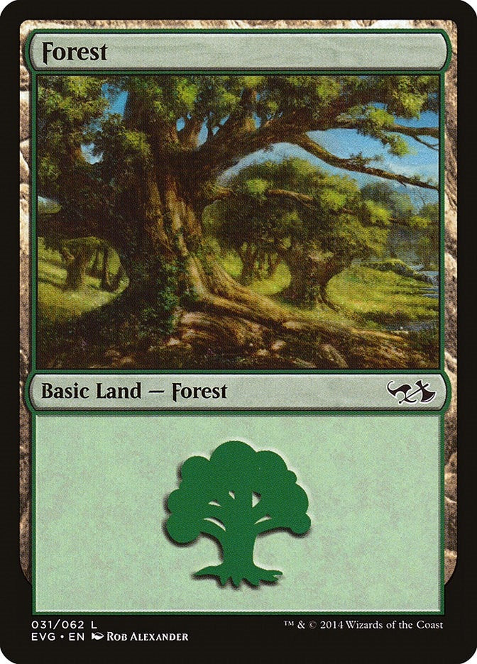 Image for Forest (031) (EVG) (31) (DD3) - Magic: The Gathering
