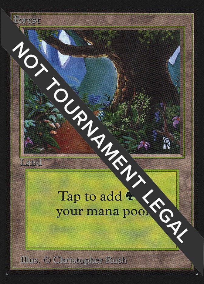 Image for Forest (B) (IE) (281) (IED) - Magic: The Gathering