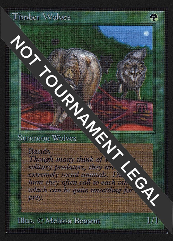 Image for Timber Wolves (CE) (CED) - Magic: The Gathering