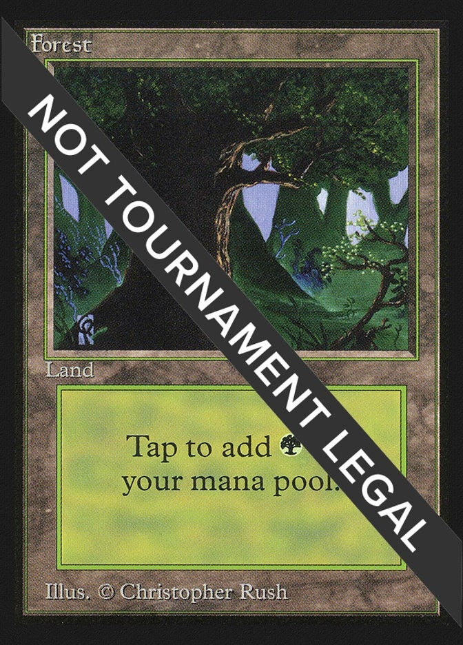 Image for Forest (C) (CE) (282) (CED) - Magic: The Gathering